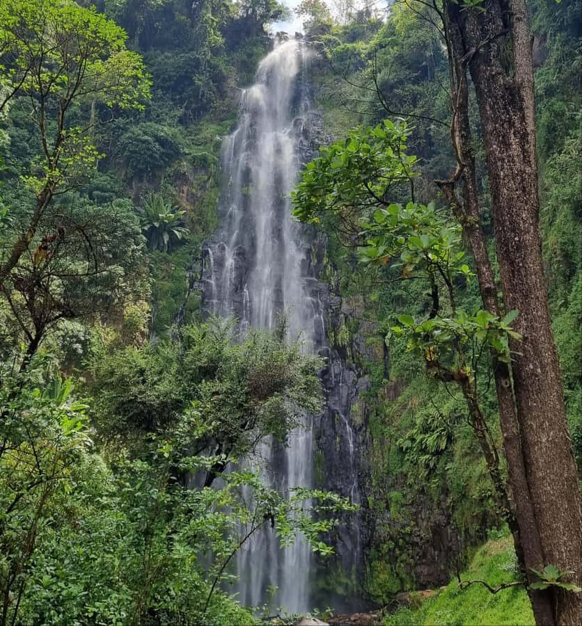 Arusha: Materuni Waterfalls, Hot Springs and/or Coffee Tour - Getting to Materuni: pickup, drive time, and what you’ll see on the way