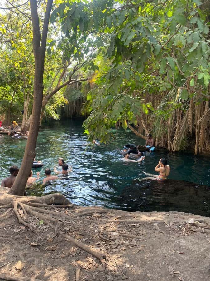 Arusha/Moshi Hot Springs Tour (Chemka) by Kingstone Asilia - The Guide and Car Ride: More Than Just Transportation