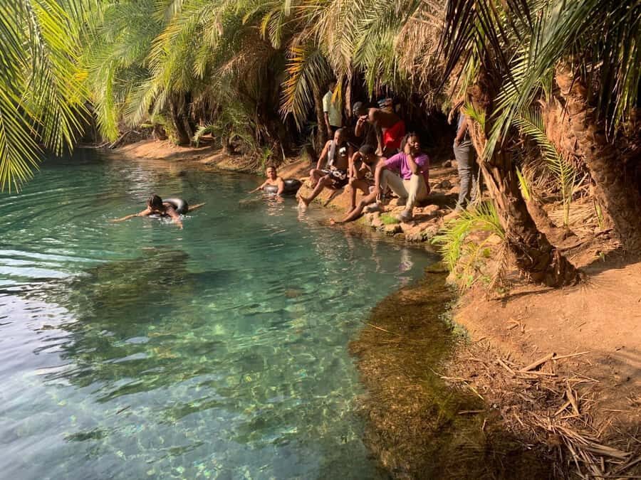 Arusha/Moshi Hot Springs Tour (Chemka) by Kingstone Asilia - Getting There From Arusha: Pickup and the Dirt-Track Reality