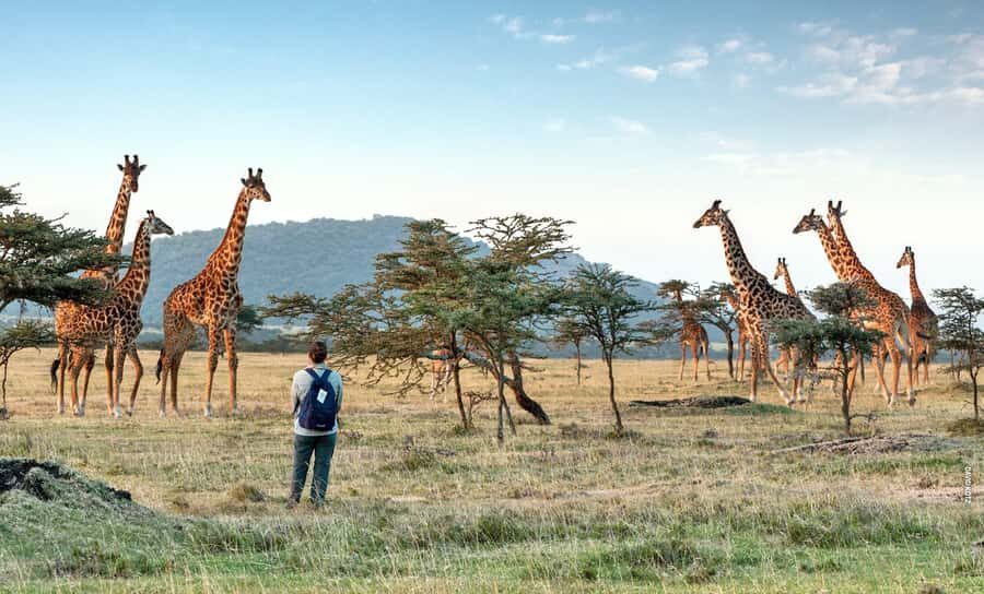 Arusha National Park Day Tour with All-Inclusive - Mount Meru at the center of the day