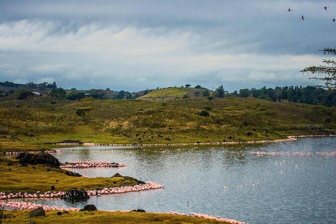 Arusha National Park Guided Day Tour from Arusha - The small details that make this day smoother
