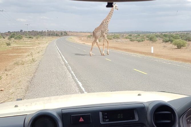 Arusha National Park Half Day Tour - Entering Arusha National Park: What Makes the Game Drive Feel Worth It