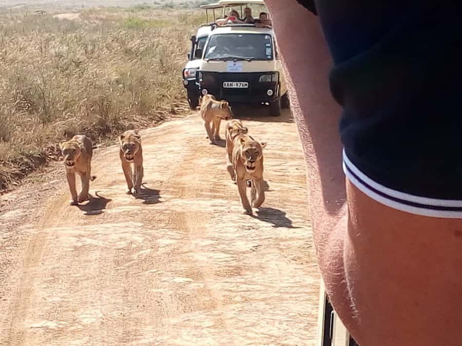 Arusha National Park: Private Jeep Tour - Getting out and walking: the calm part of the safari