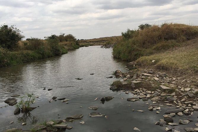 Arusha National Park Safari by Jeep - Half-Day Timing From Arusha: How the 5-Hour Plan Works