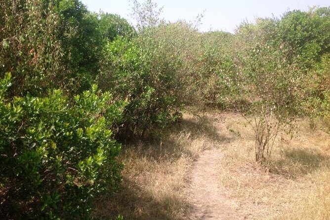 Arusha National Park Safari by Jeep - Price and Logistics: What $0.00 Really Means for Your Budget