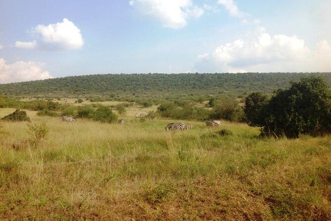 Arusha National Park Safari by Jeep - Who This Safari Fits Best (and Who Might Want Longer)