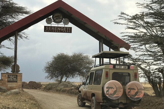 Arusha Private Transport Service in Tanzania - Airport Pickup: Kilimanjaro or Arusha Airport, Then Straight to Arusha