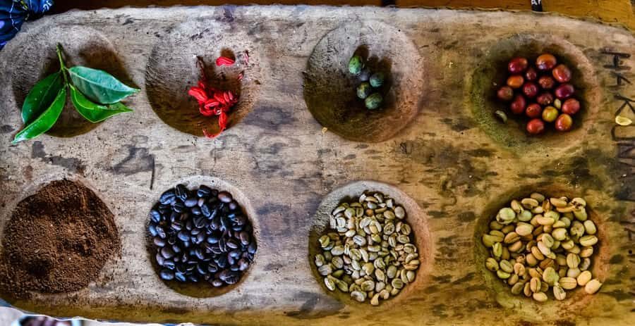 Arusha: Traditional Coffee Preparation(coffee tour) - Getting Started at Naturalland Expeditions (and Not Wasting Time)