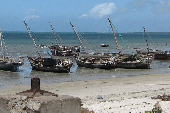 Bagamoyo Historical Tour - Everyday - Mangrove Forest and Beach Time: Why the Coastal Setting Matters