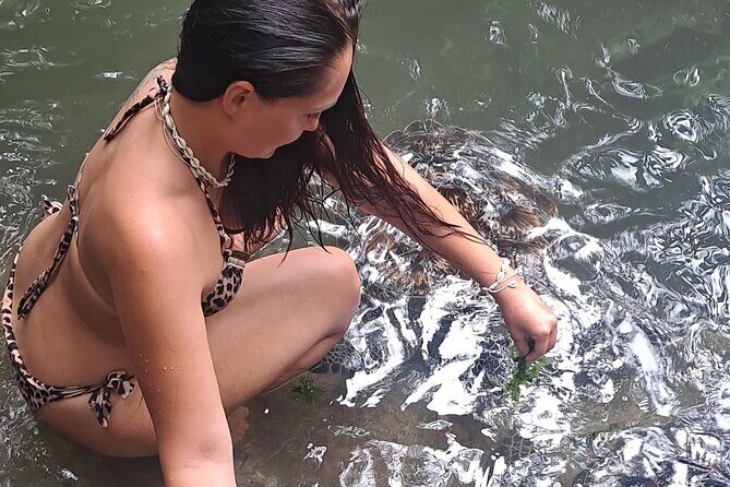 Baraka Aquarium and Dolphin Sightseeing with Sunset Cruise - Quick hits before you go