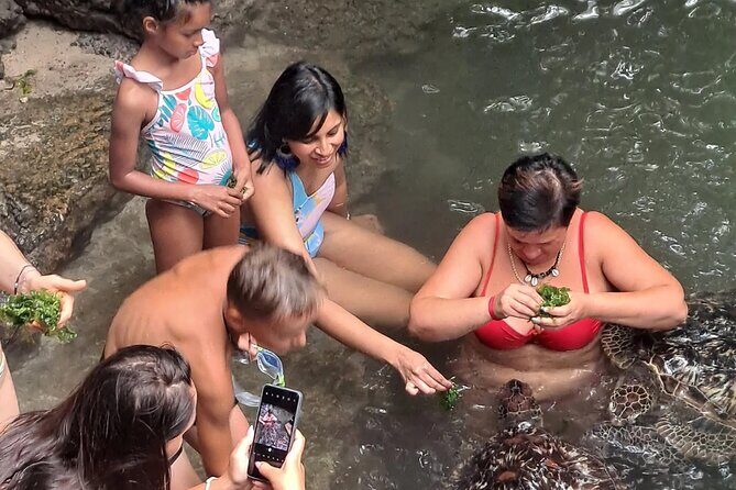 Baraka Aquarium and Dolphin Sightseeing with Sunset Cruise - Baraka Natural Aquarium in Nungwi: Green Sea Turtles Up Close
