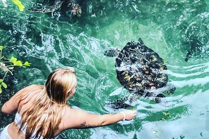 Baraka Aquarium and Dolphin Sightseeing with Sunset Cruise - From Matemwe to the Dolphins: A Morning Boat Search That Makes Sense