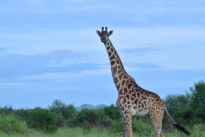 Best 5 days Tanzania midrange group joining safari tour - Price and value: what $2,629 covers on this northern circuit