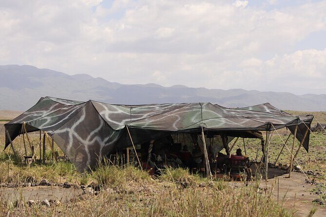 Best 5 Days Tanzania Private Luxury Safari with luxury Lodges - Days 2 and 3 in Central Serengeti: your big-game focus, with migration depending on season
