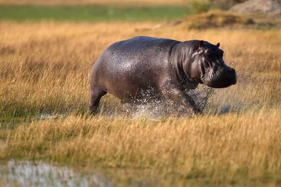 Best Day tour to Ngorongoro Crater-ISMANI TOURS AND SAFARIS - A one-day timetable from Arusha: early starts and a long road rhythm