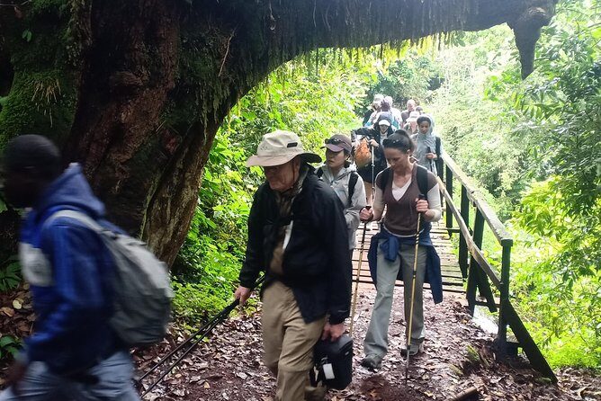 Best Kilimanjaro Adventures 6 Days Marangu Route Experience - Key highlights worth noting