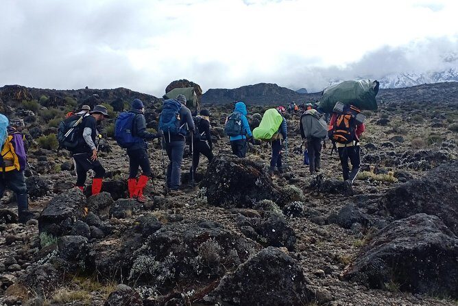Best Kilimanjaro Adventures 6 Days Marangu Route Experience - Day 3 acclimatization: why Mawenzi Hut matters