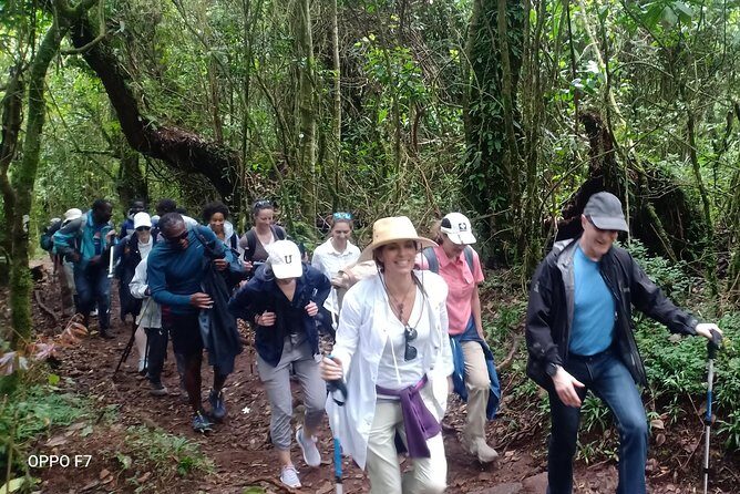 Best Kilimanjaro Adventures 6 Days Marangu Route Experience - Up toward Kibo Hut: Maua River, Red Hill, and the upper-alitude shift
