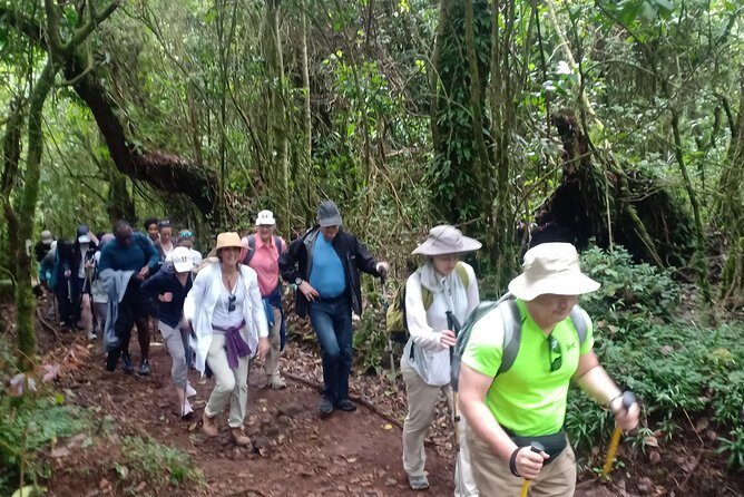 Best Kilimanjaro Adventures 6 Days Marangu Route Experience - Summit night to Uhuru Peak: the hard part, step by step