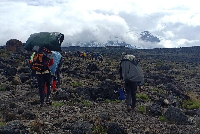 Best Kilimanjaro Adventures 6 Days Marangu Route Experience - Descent to Marangu Gate: cloud forest and slippery footing