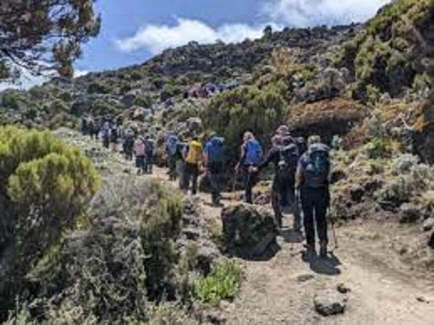 Best Kilimanjaro Day Hike With Car Shira Plateau experience - Morning Car Ride to Londorossi Gate: Starting Smoothly