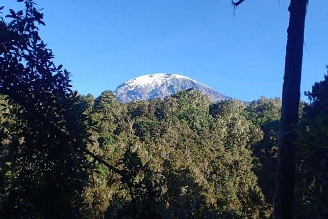 Best Kilimanjaro hiking day trip tour with Kilinge Adventures - Marangu Gate (1,800m) to Mandara Hut (2,743m): What the Climb Feels Like