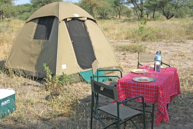 Best Of Six Days Safari Camping safari - Ngorongoro Crater early drive: world-famous caldera and Big Five emphasis