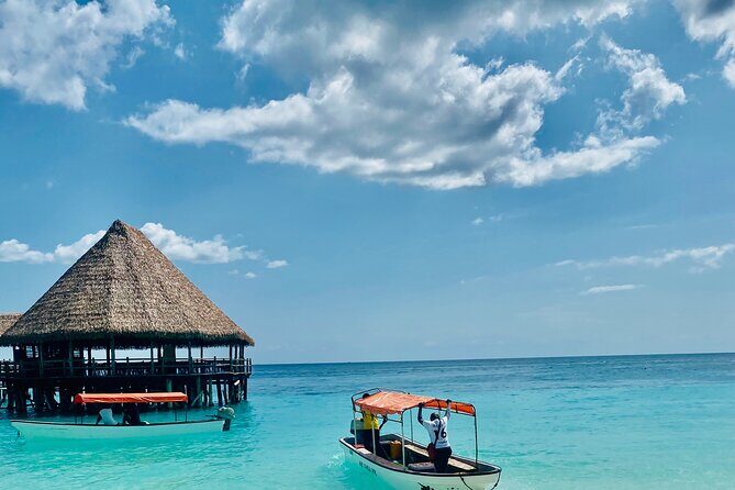 Best Safari and Zanzibar 10-Days Excursions - Why this Moshi-to-Zanzibar route feels efficient