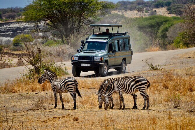 Best Safari and Zanzibar 10-Days Excursions - Zanzibar island time: beaches, spice culture, and water choices