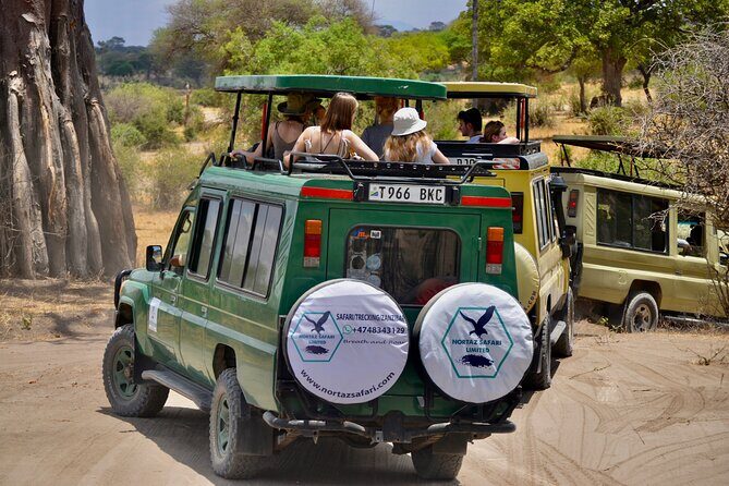 Best Safari and Zanzibar 10-Days Excursions - Tarangire National Park: Elephant pool country and bird-rich river life