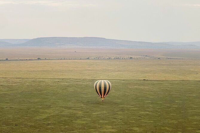 Big Five Dream Safari - Logistics that matter: 8:00 am start, pickup, mobile ticket, small group pacing