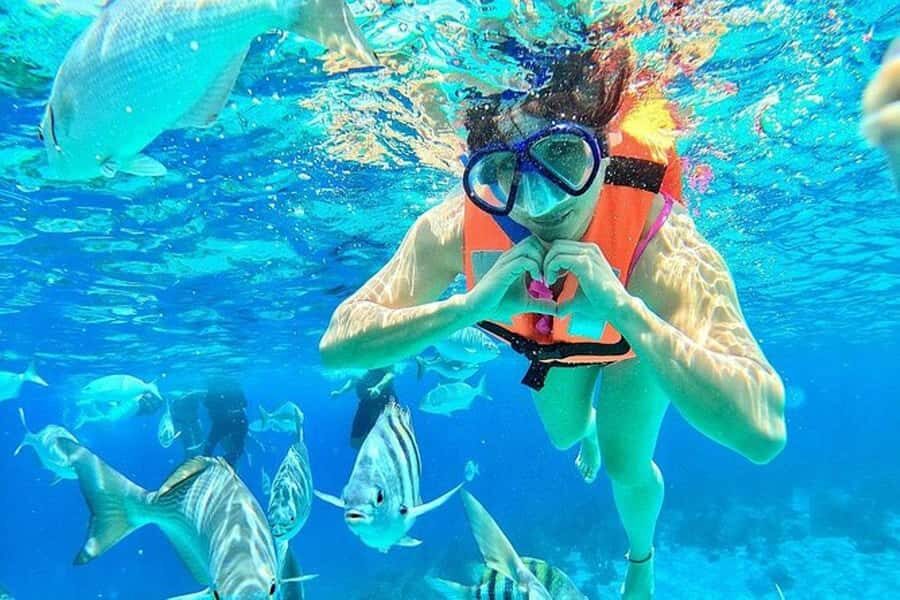 Blue Safari Adventure from Paje/Jambiani: Snorkeling & Lunch - The lagoon swim and the return to Paje/Jambiani: end on a lighter note