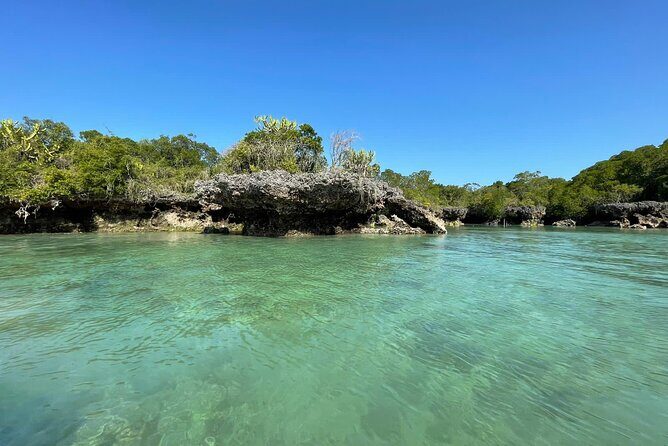 Blue Safari Tour - Key Takeaways Before You Go