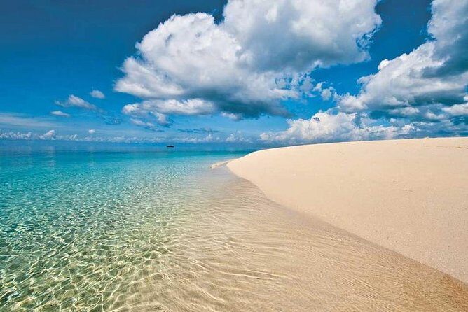 Blue Safari Tour - Small Comforts That Make the Day Feel Thoughtful