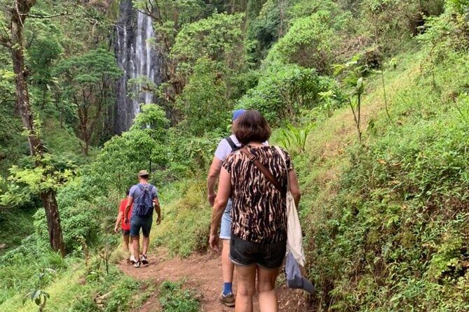 Bodaboda Experience to Materuni Waterfall and Coffee Tour - Price and value from Moshi: what $52 gets you