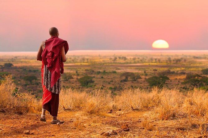Camping to Serengeti & Ngorongoro Premium Parks - From Serengeti to Ngorongoro edge: the drive that sets the mood