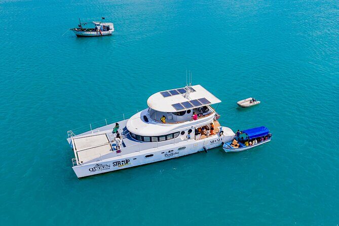 Catamaran Sunset Cruise in Stone Town - Key highlights to know before you go