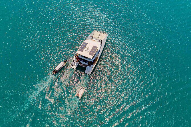 Catamaran Sunset Cruise in Stone Town - Who this cruise fits best in Zanzibar