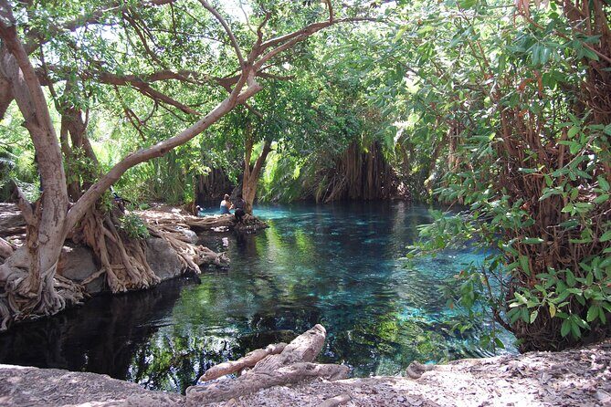 Chemka Hot Springs Day Trip - The 7:00 am ride: transport that shapes the whole day