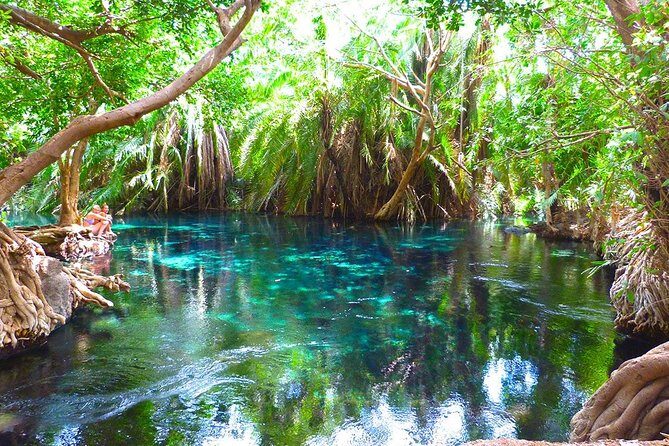 Chemka Hot Springs Tour from Moshi - Key highlights at a glance