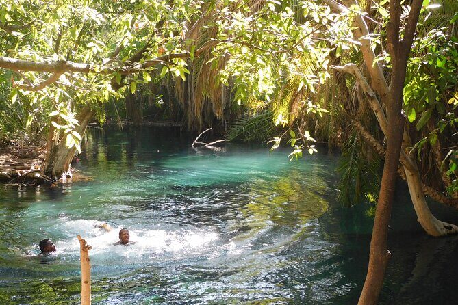 Chemka (Kikuletwa) Hot Springs, Tanzania - Key things to know before you go