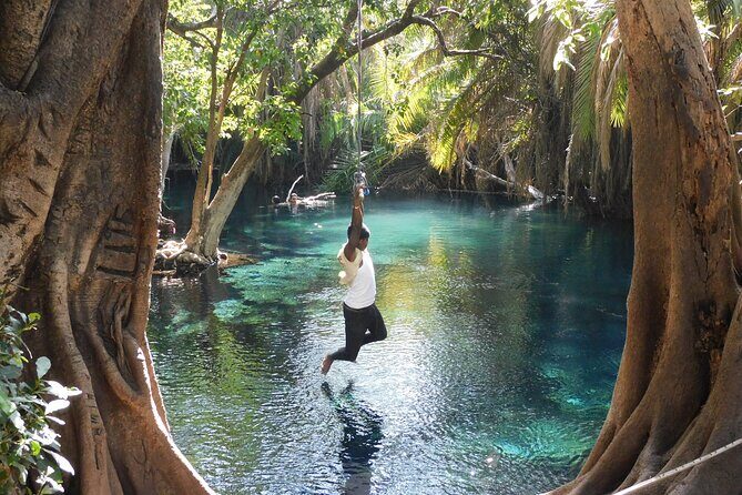 Chemka (Kikuletwa) Hot Springs, Tanzania - Chemka Springs 101: Warm Water, Fig Roots, Crystal Clarity