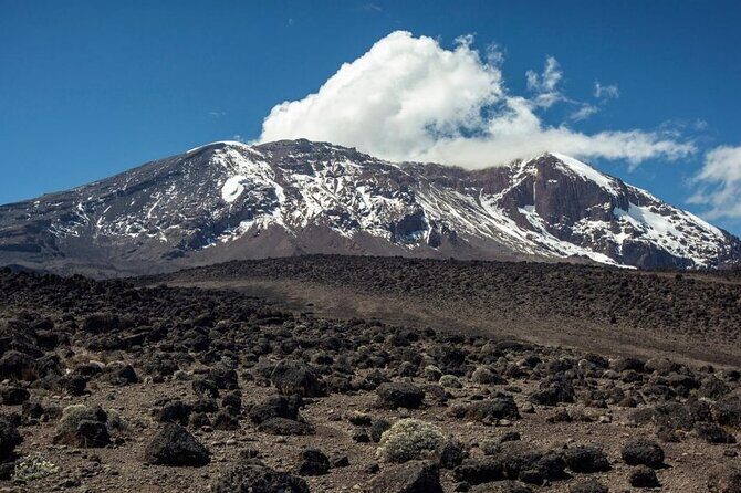 Climb Kilimanjaro, 7 Days Machame Route Hiking - Final verdict: should you book this Machame Route experience?
