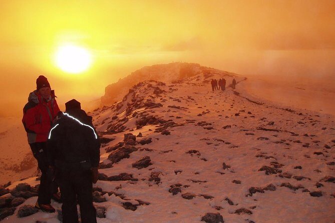 Climb Kilimanjaro 8-Day Lemosho Route with Stunning Scenic Views - The Most Useful Highlights Before You Go