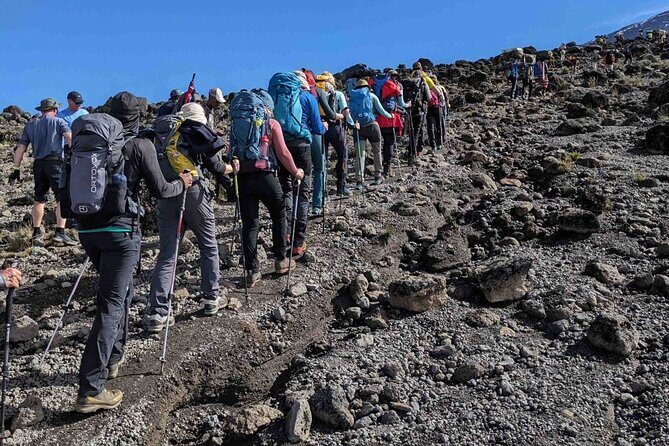 Climb Kilimanjaro in 8 Days via Lemosho Route - Day 2: Shira Camp 1 and the first real altitude work