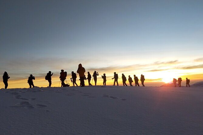 Climb Kilimanjaro - Lemosho Route 7 Day Climb - Why the Lemosho Glades Route Feels Different Than Most Kili Starts