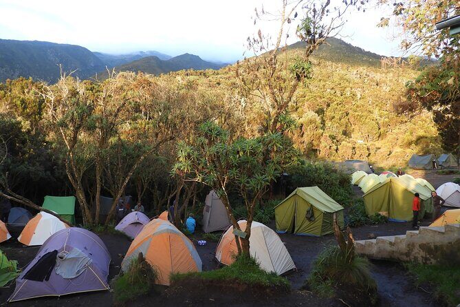 Climb Kilimanjaro - Lemosho Route 7 Day Climb - Day 5 Lava Tower and the Semi-Desert Reality Check