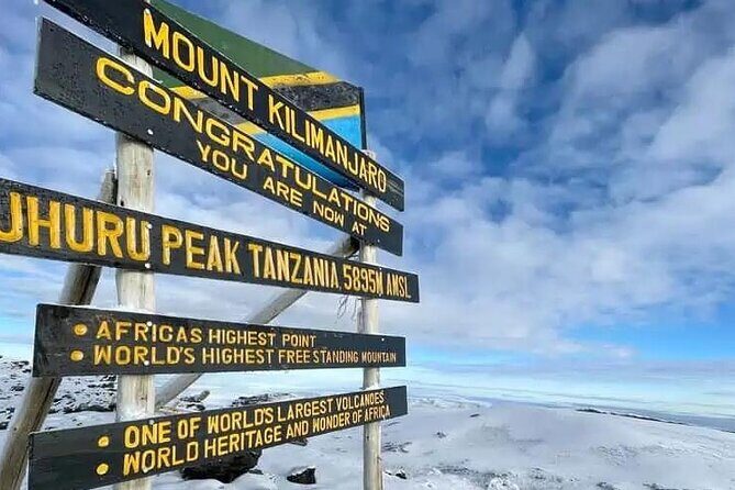 Climb Kilimanjaro Machame Route 7 Days - Moshi Setup: Airport Pickup, Honey Badger Lodge, and Ready-to-Go Comfort