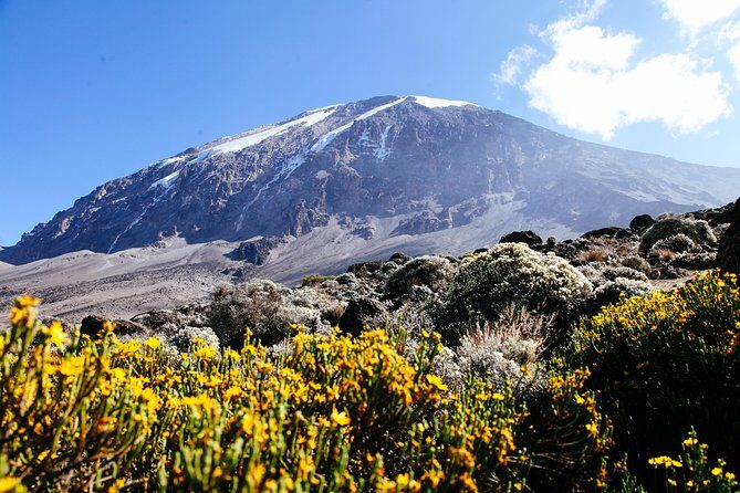 Climb Kilimanjaro - Marangu Route 8 Day Program - Marangu Route in plain terms: what it feels like