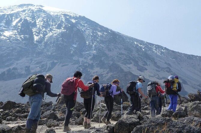 Climb Kilimanjaro - Marangu Route 8 Day Program - Day 2: Rainforest hike to Mandara Hut (plus Maundi Crater views)